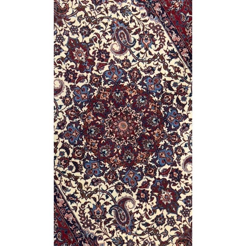 Seirafian area rug with intricate knotwork and a bold color contrast.